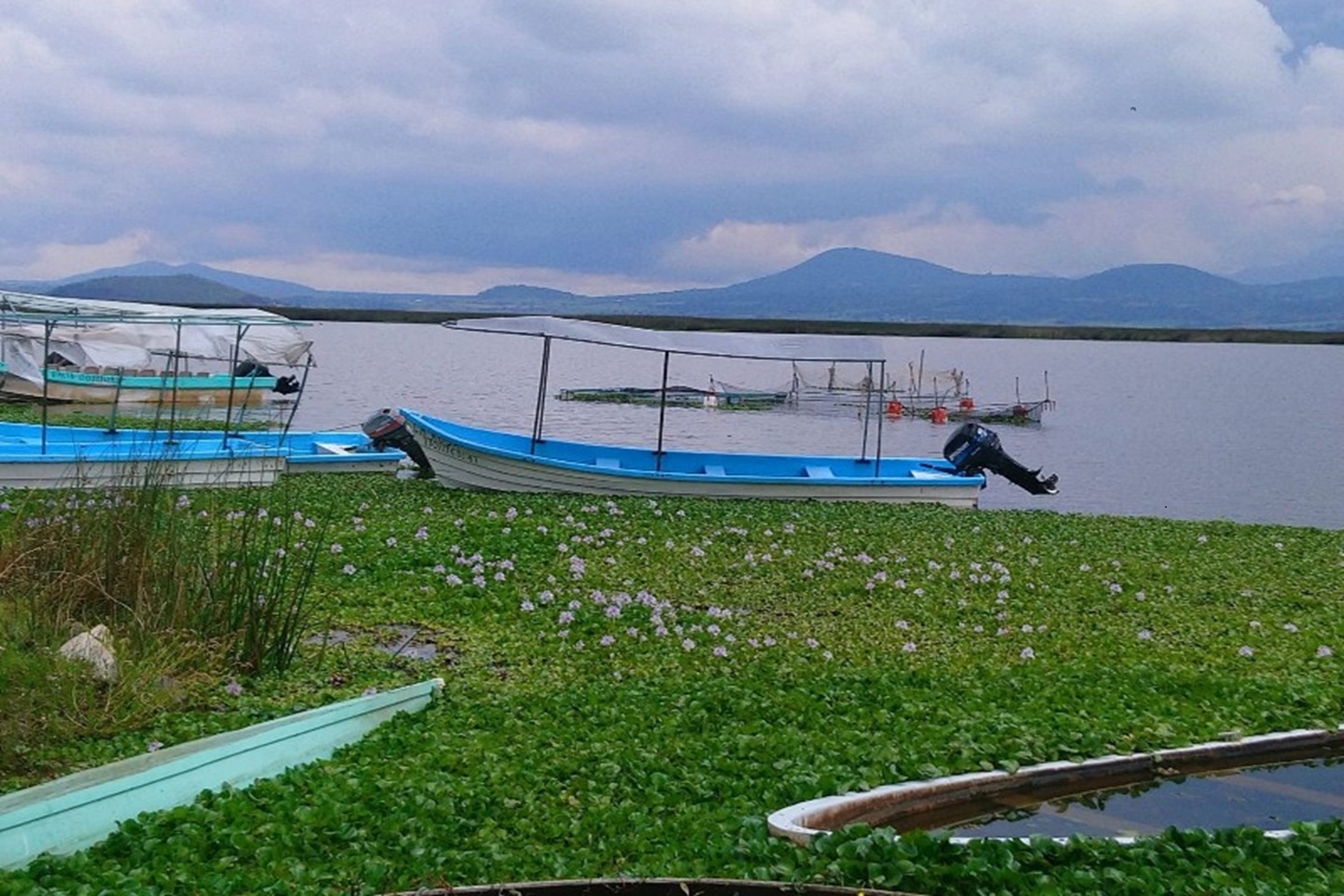 Presa El Cedral