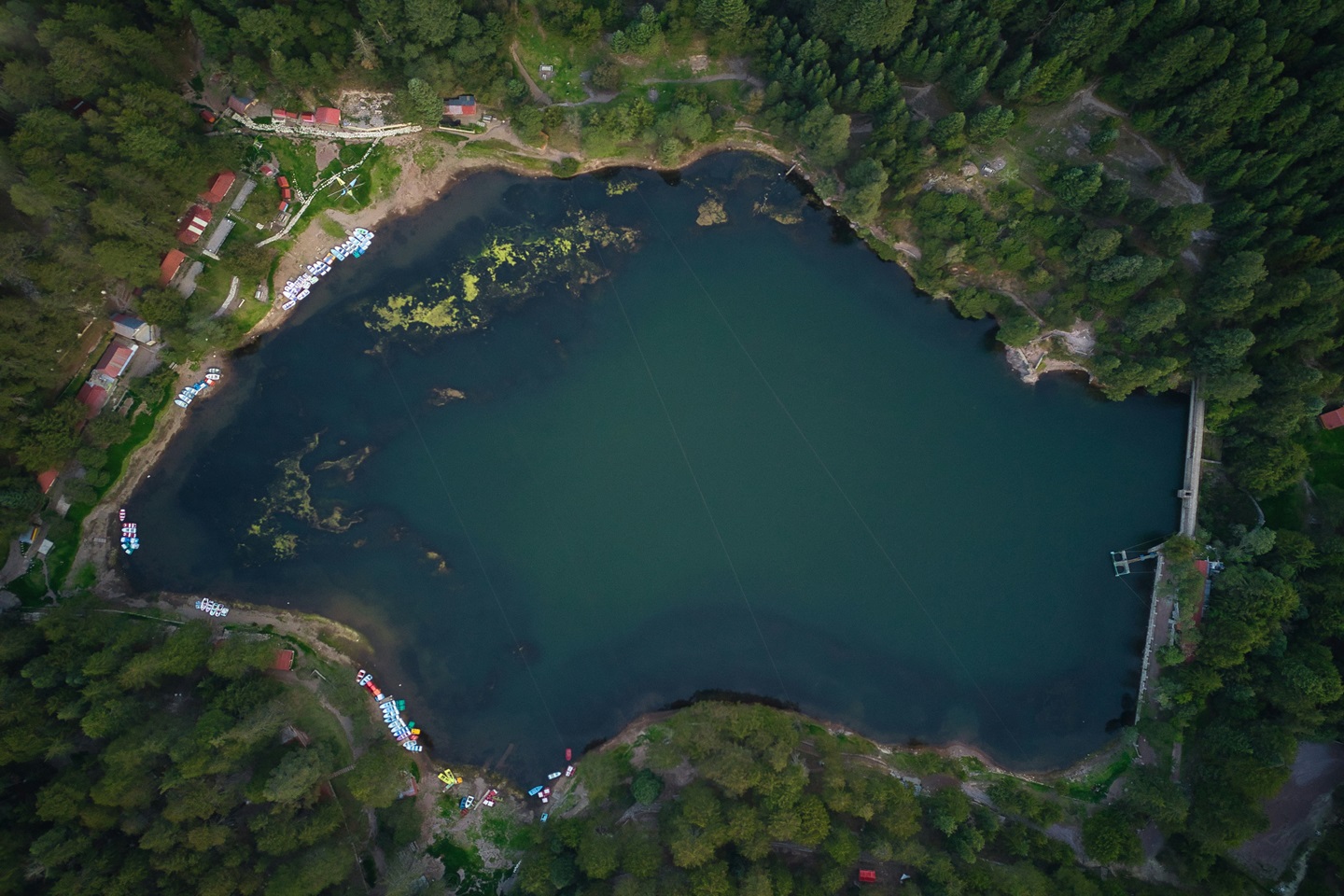 Presa El Cedral