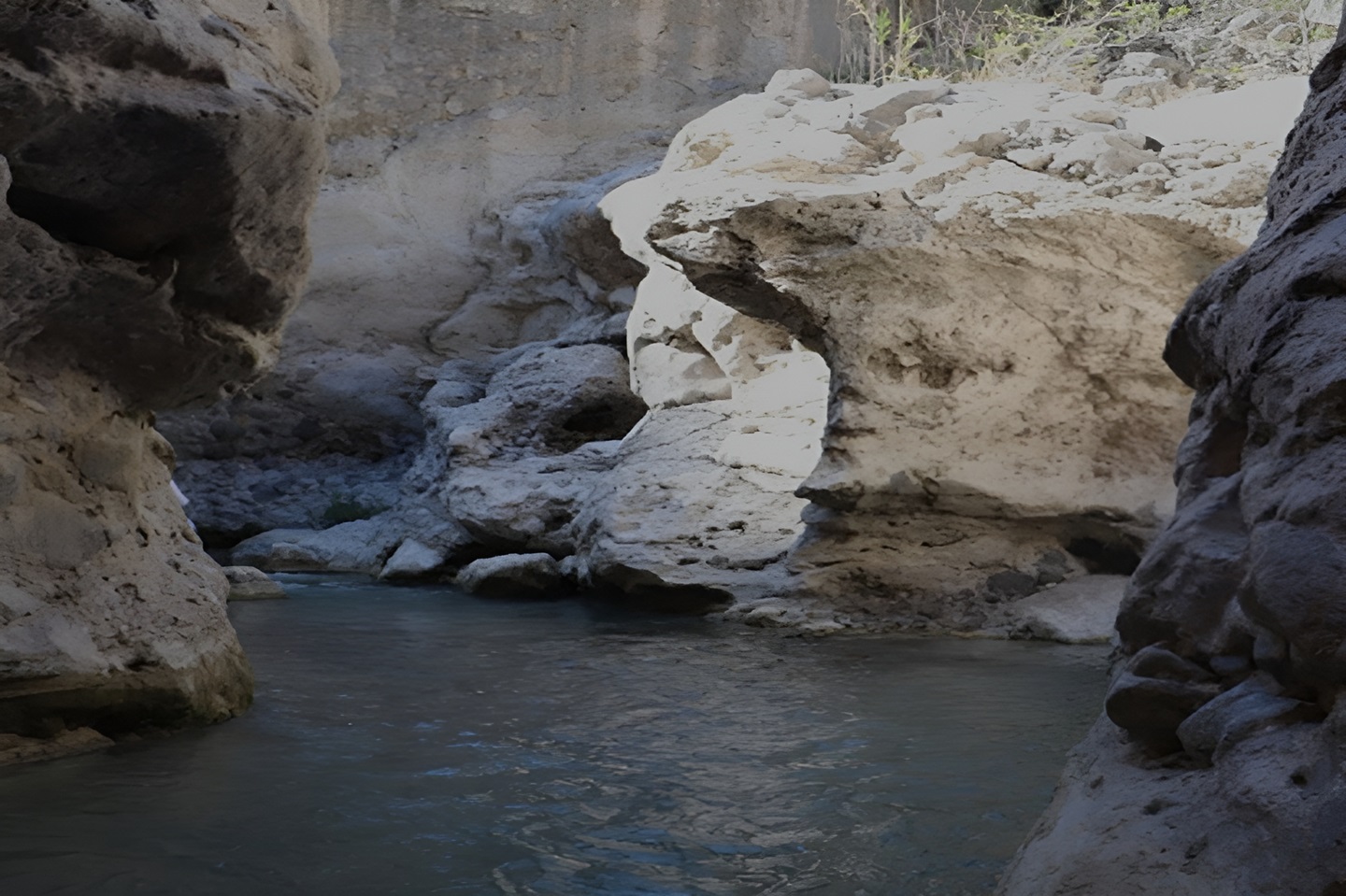 Presa El Cedral